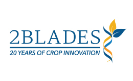 2 Blades Logo