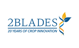 2 Blades Logo