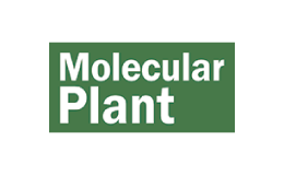 Molecular Plant Logo