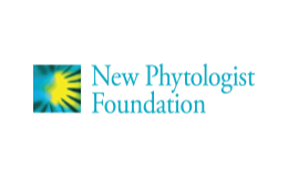 New Phytologist Foundation Logo