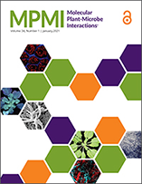 MPMI Book Cover